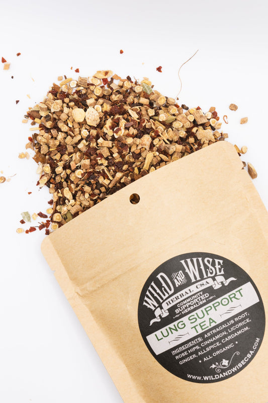 Lung Support Tea (Astragalus/Rosehip)